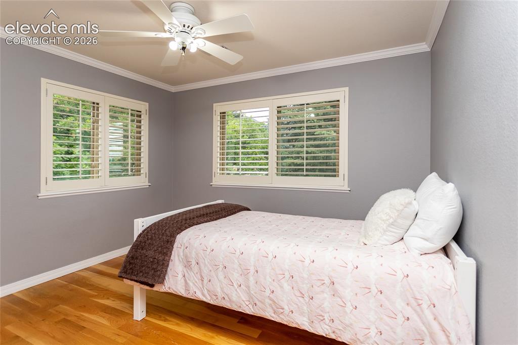 4835 Newstead Place Colorado Springs CO 80906
