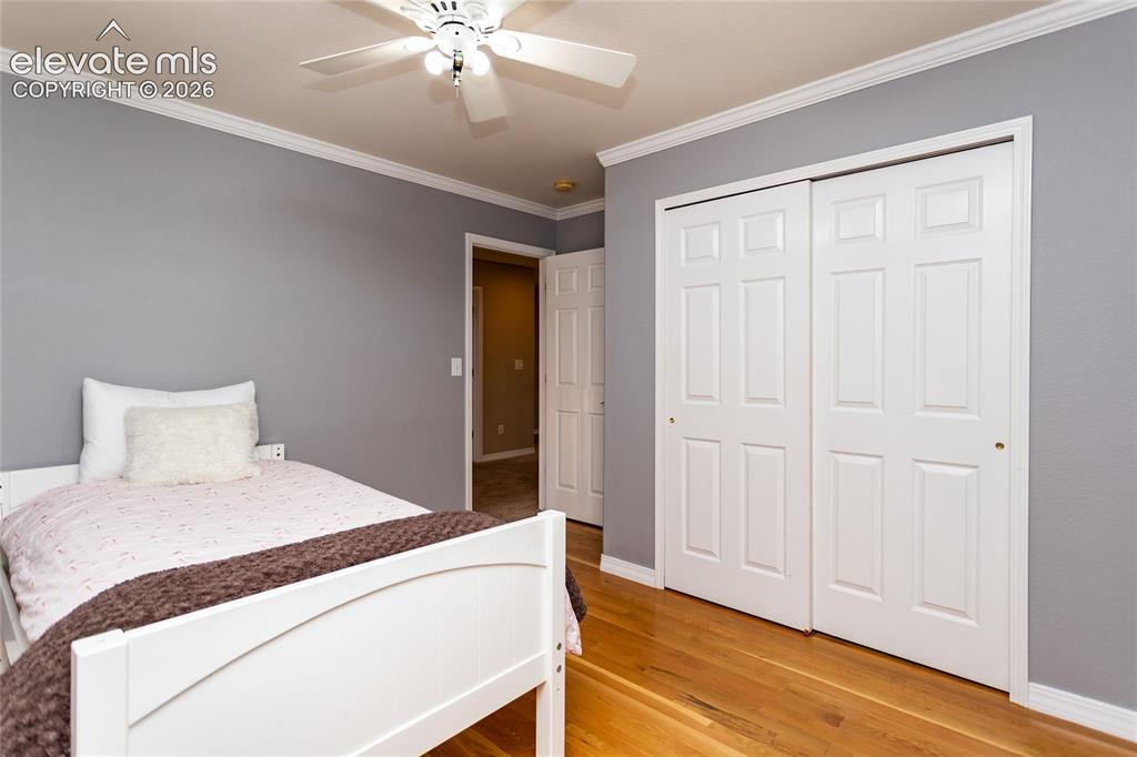 4835 Newstead Place Colorado Springs CO 80906