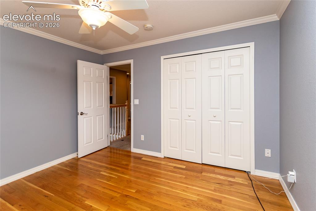 4835 Newstead Place Colorado Springs CO 80906