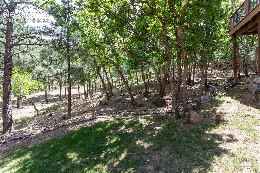 4835 Newstead Place Colorado Springs CO 80906