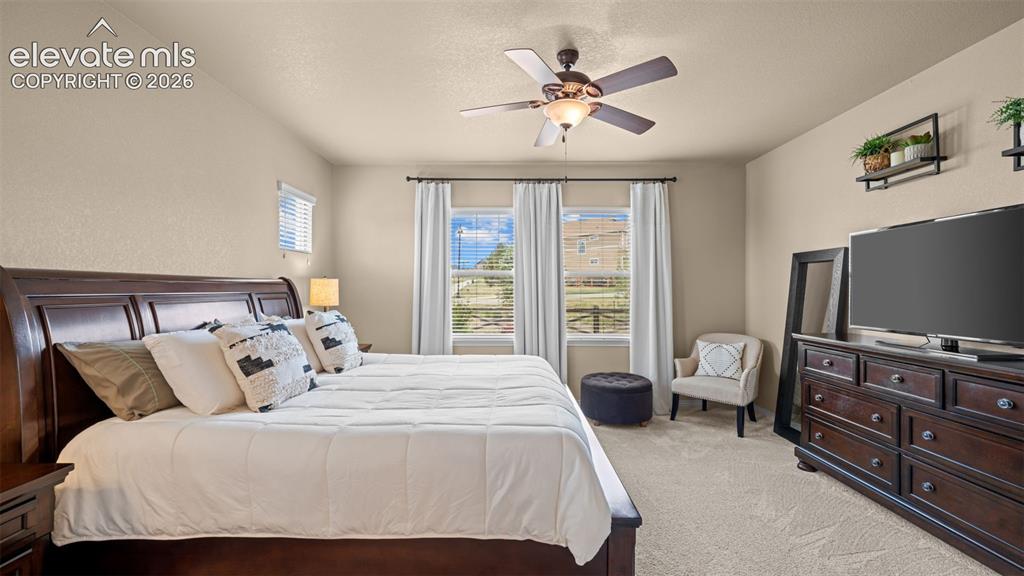 6591 Myrtle Creek Drive Colorado Springs CO 80927