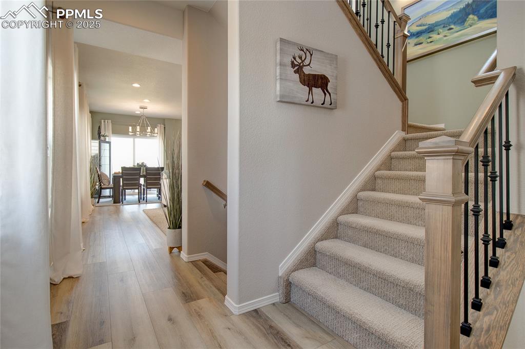8562 Perkins Lane Colorado Springs CO 80925