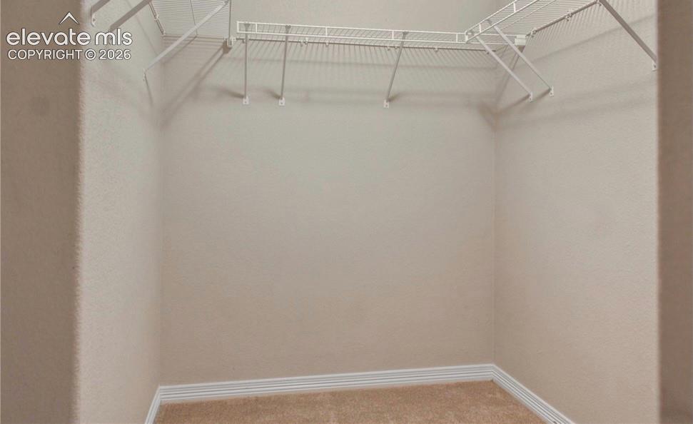 6773 Galpin Drive Colorado Springs CO 80925