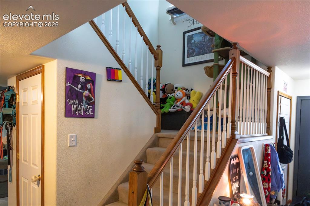 7406 Waterside Drive Colorado Springs CO 80925