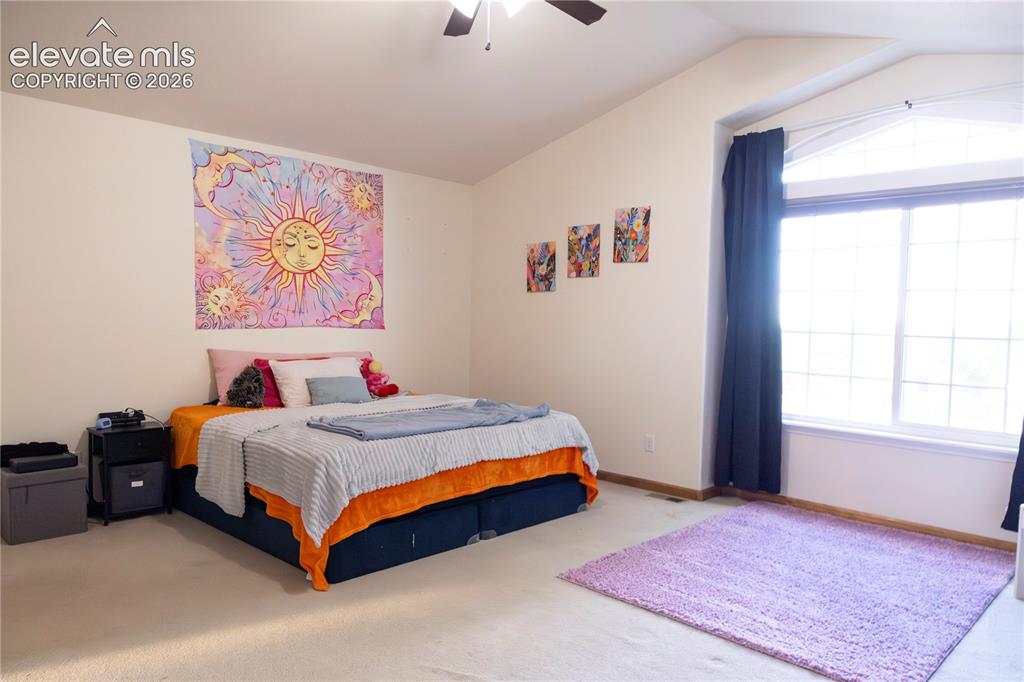 7406 Waterside Drive Colorado Springs CO 80925