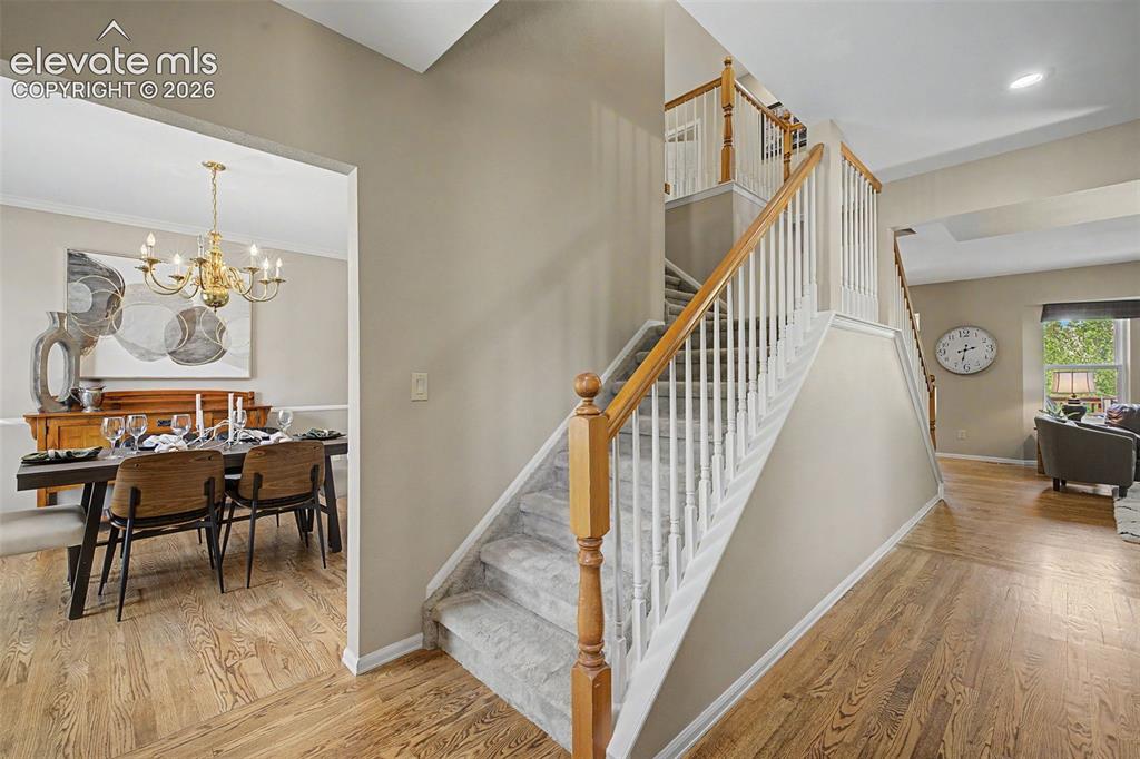 750 Herbglen Court Colorado Springs CO 80906