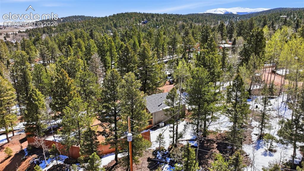 747 Trout Haven Road Florissant CO 80816