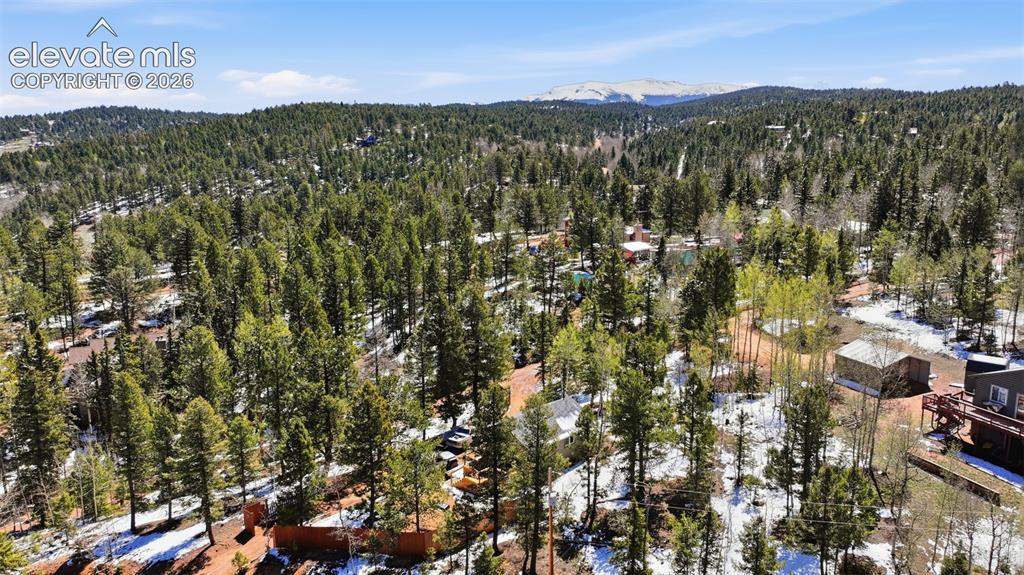 747 Trout Haven Road Florissant CO 80816