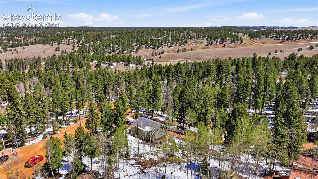 747 Trout Haven Road Florissant CO 80816