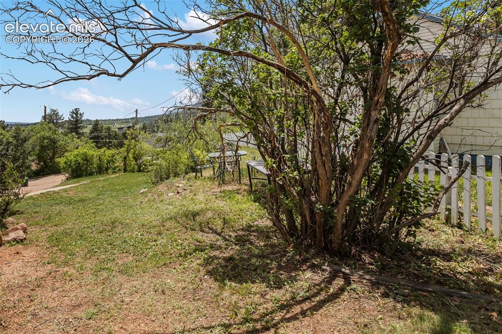 410 Thompson Place Palmer Lake CO 80133