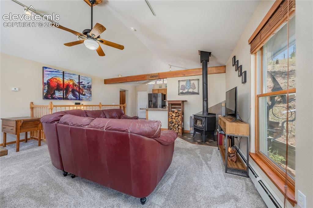 15970 Willow Way Woodland Park CO 80863