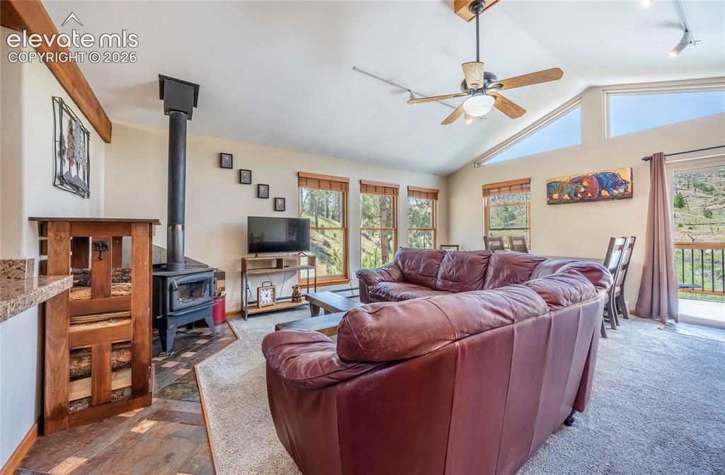 15970 Willow Way Woodland Park CO 80863
