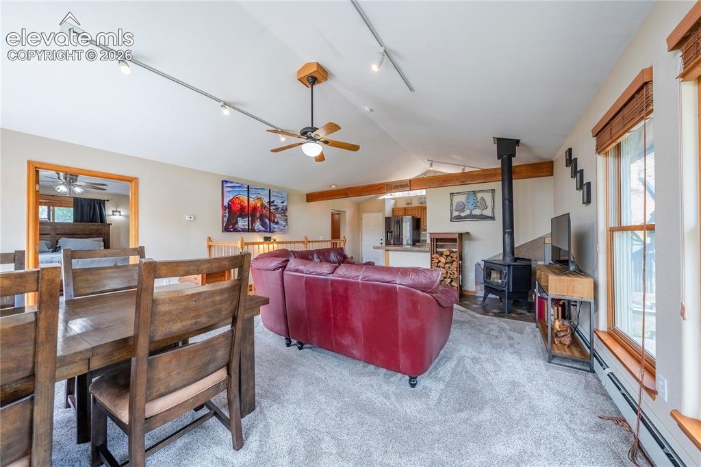 15970 Willow Way Woodland Park CO 80863