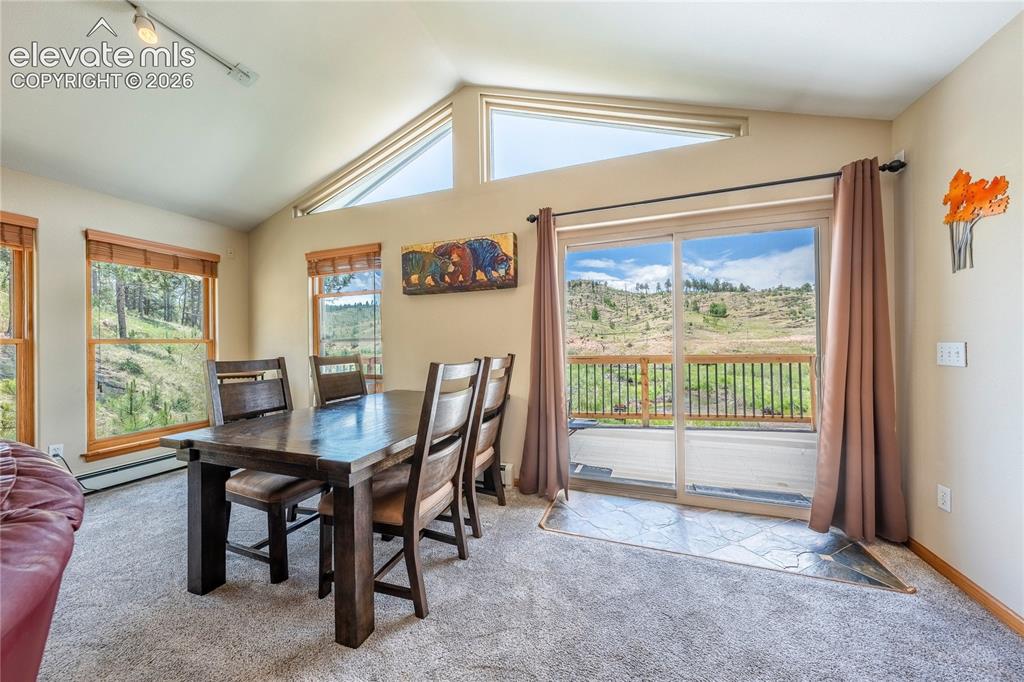 15970 Willow Way Woodland Park CO 80863