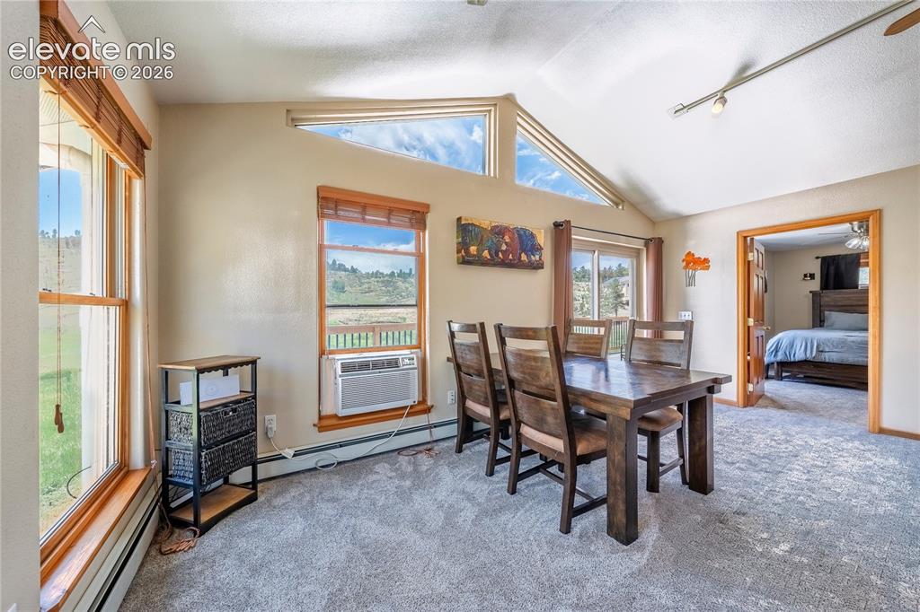 15970 Willow Way Woodland Park CO 80863