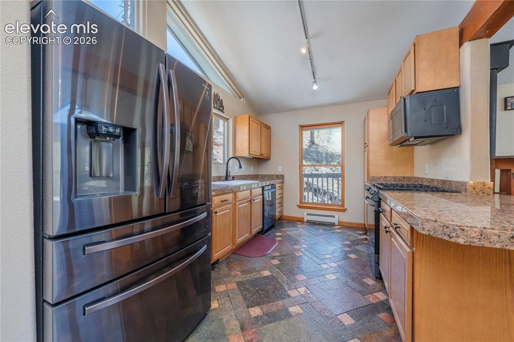 15970 Willow Way Woodland Park CO 80863
