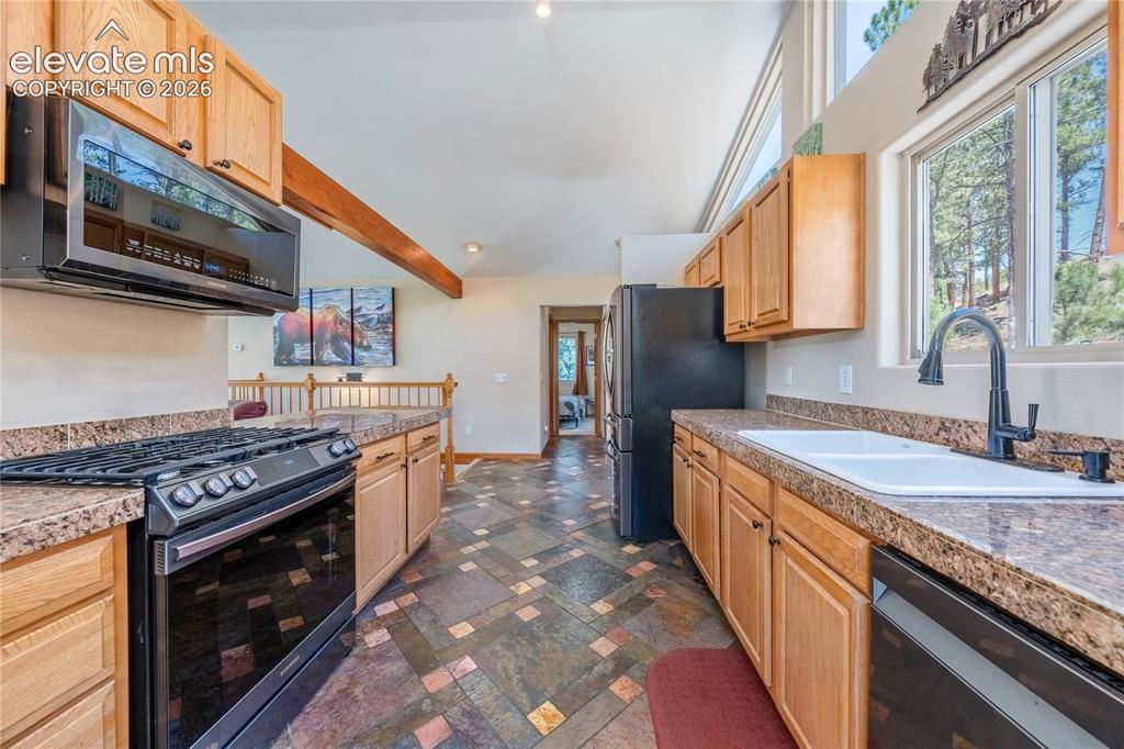 15970 Willow Way Woodland Park CO 80863