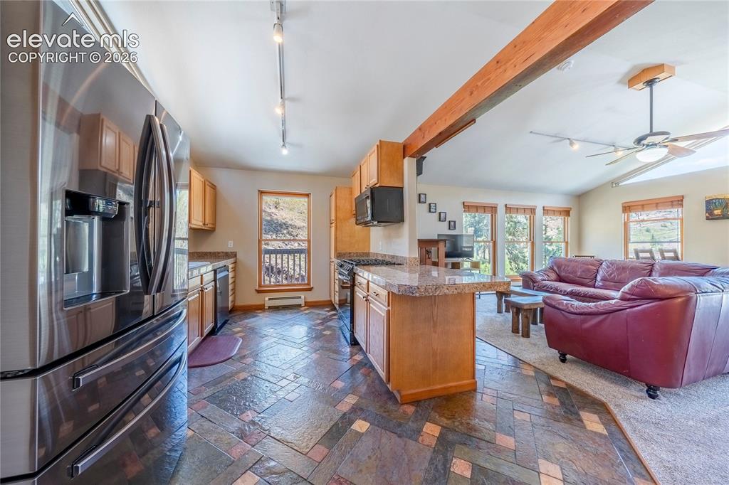 15970 Willow Way Woodland Park CO 80863