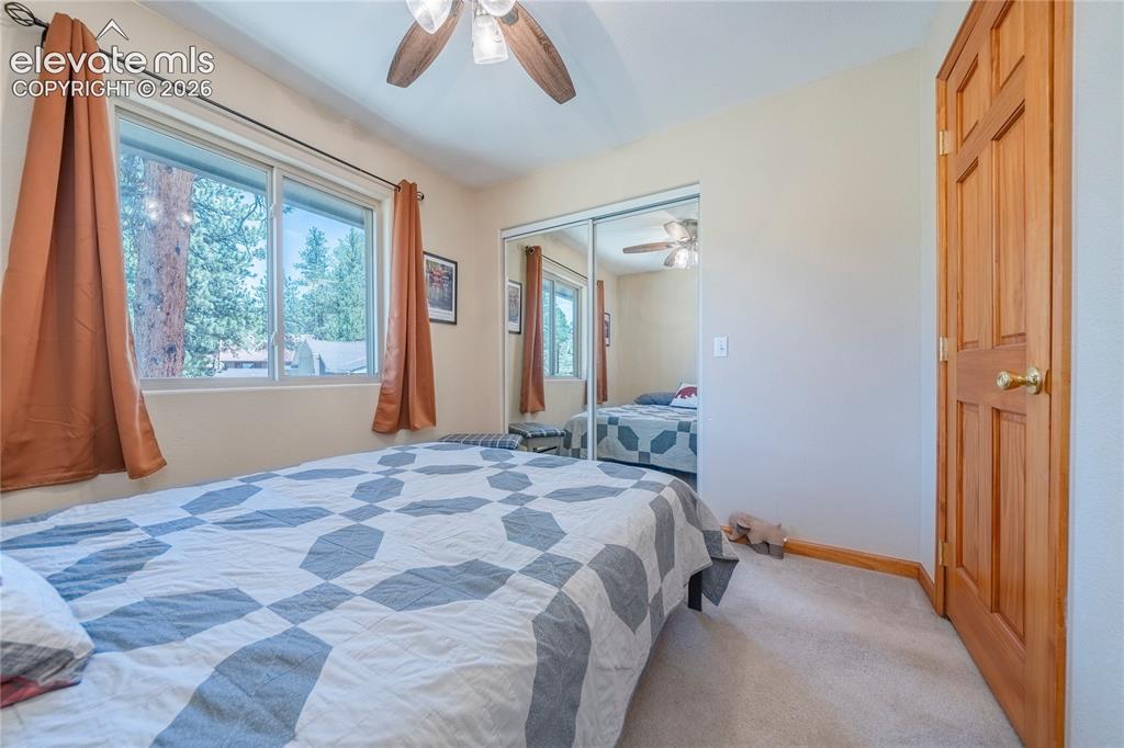 15970 Willow Way Woodland Park CO 80863
