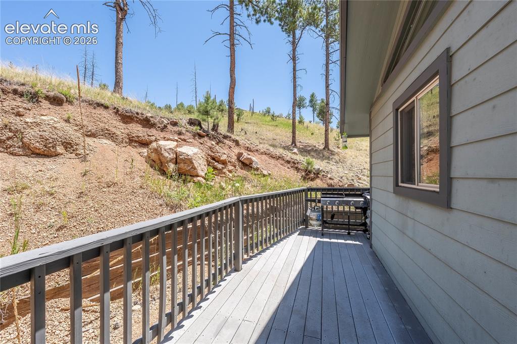 15970 Willow Way Woodland Park CO 80863