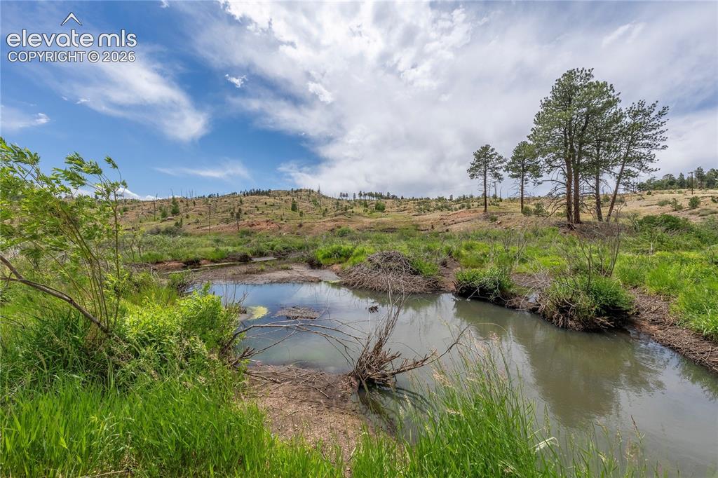 15970 Willow Way Woodland Park CO 80863