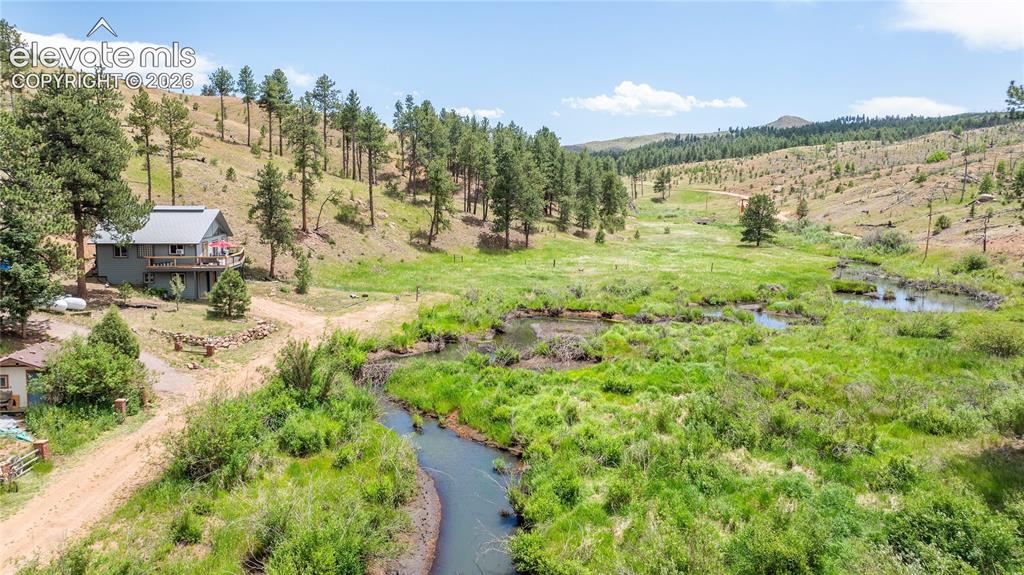 15970 Willow Way Woodland Park CO 80863