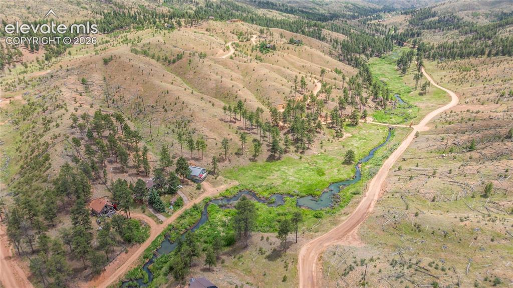 15970 Willow Way Woodland Park CO 80863