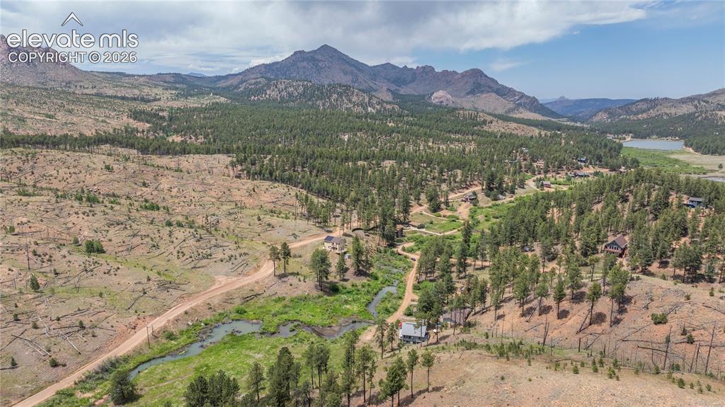 15970 Willow Way Woodland Park CO 80863