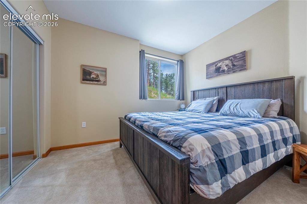 15970 Willow Way Woodland Park CO 80863