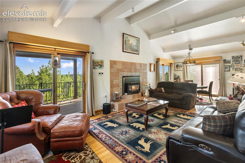 5853 W Highway 24 Divide CO 80814