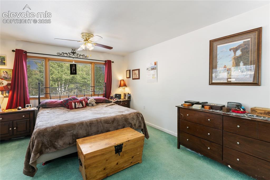 5853 W Highway 24 Divide CO 80814