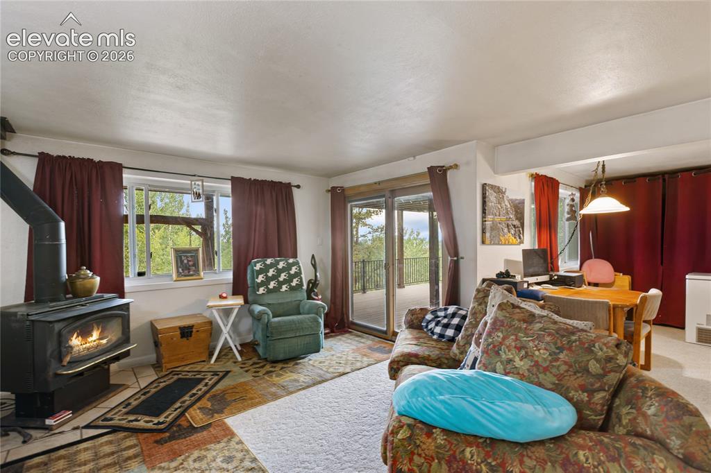 5853 W Highway 24 Divide CO 80814