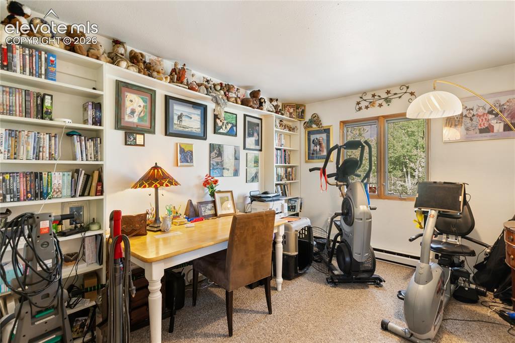 5853 W Highway 24 Divide CO 80814