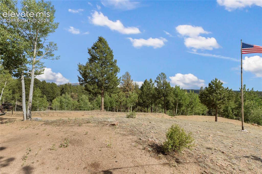 5853 W Highway 24 Divide CO 80814