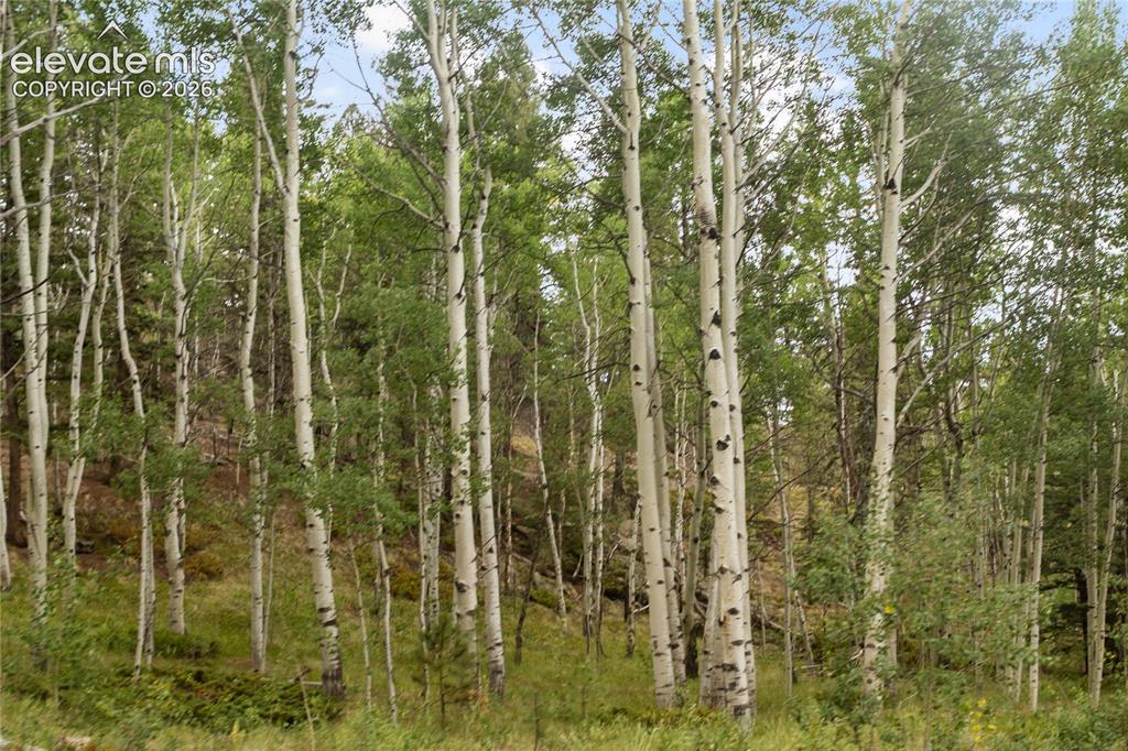 5853 W Highway 24 Divide CO 80814