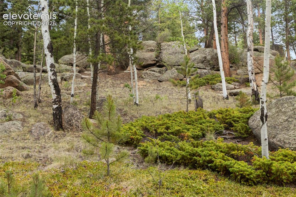 5853 W Highway 24 Divide CO 80814