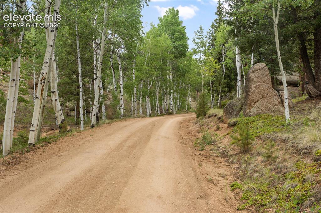 5853 W Highway 24 Divide CO 80814
