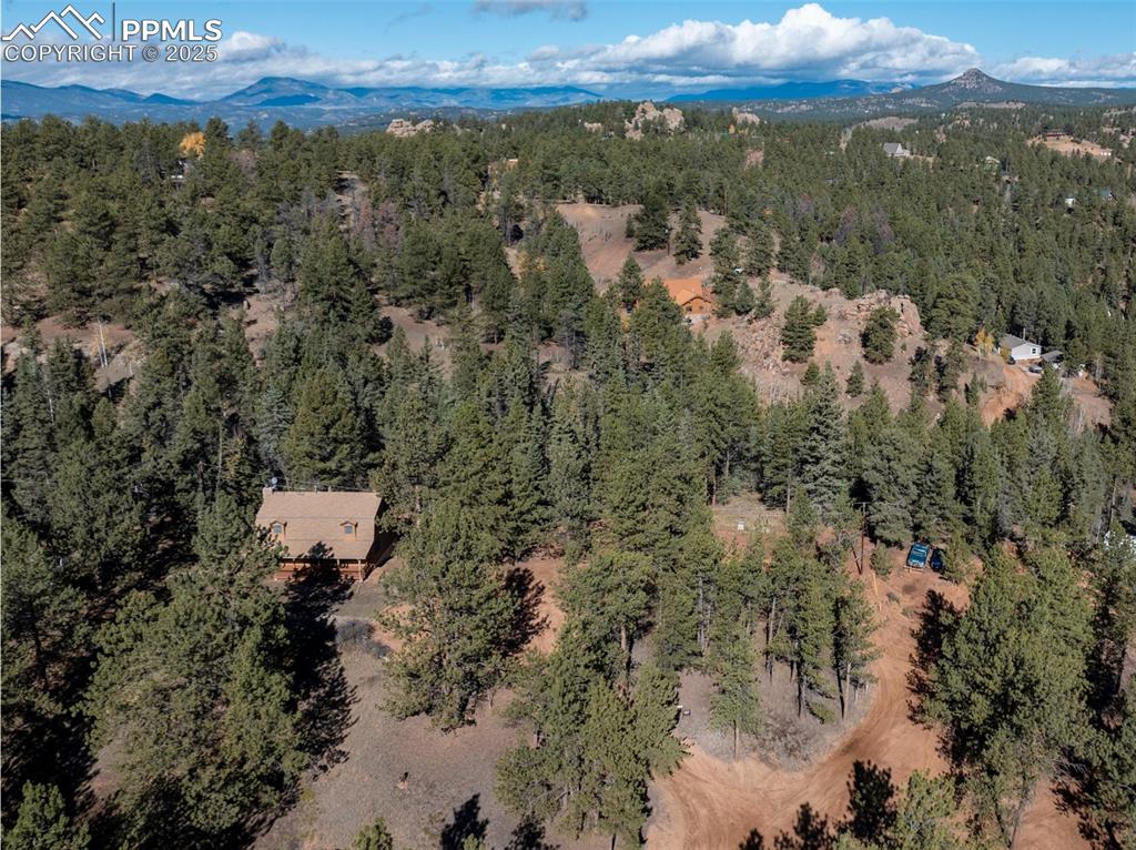 457 Stonehenge Drive Florissant CO 80816
