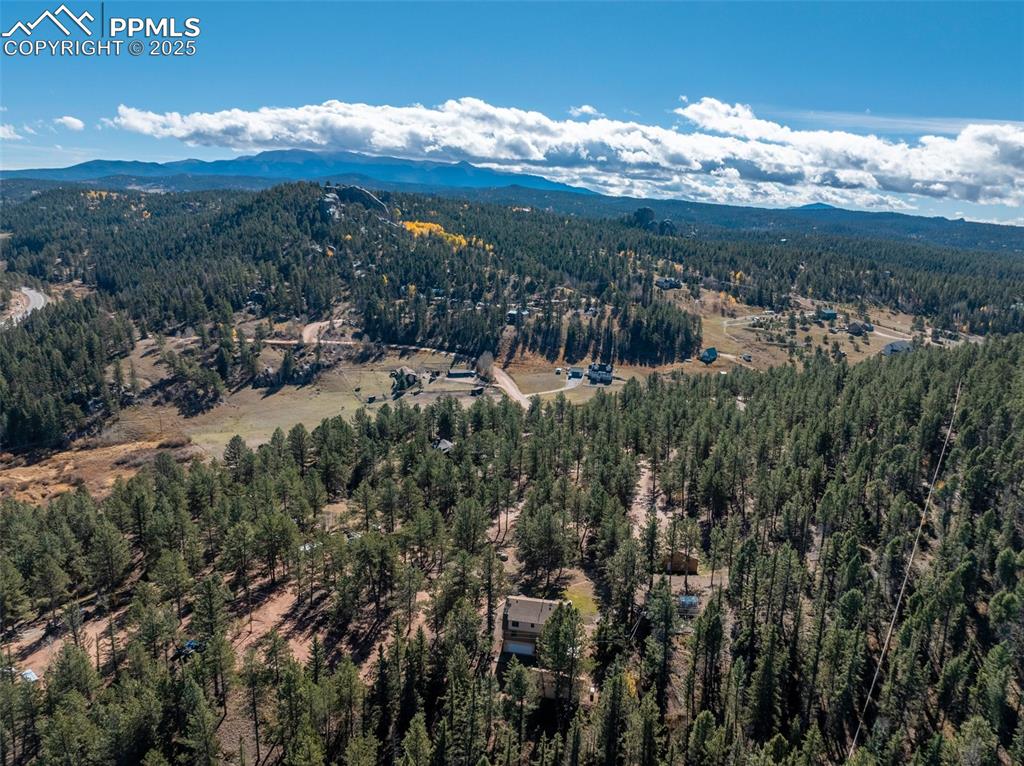 457 Stonehenge Drive Florissant CO 80816