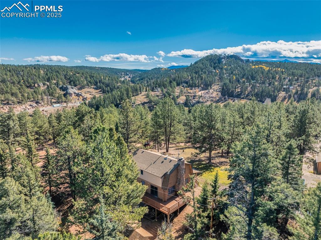 457 Stonehenge Drive Florissant CO 80816