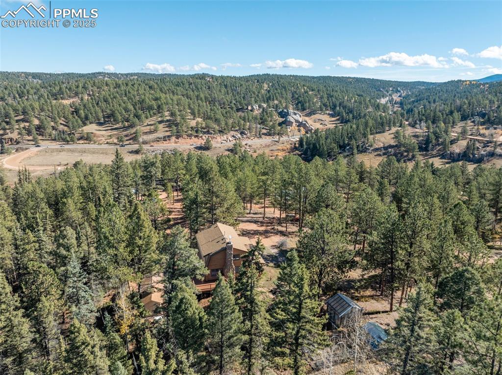 457 Stonehenge Drive Florissant CO 80816