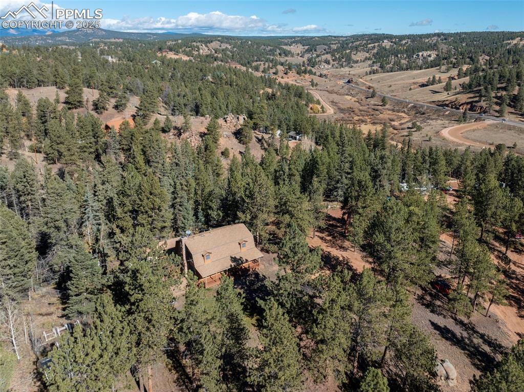 457 Stonehenge Drive Florissant CO 80816