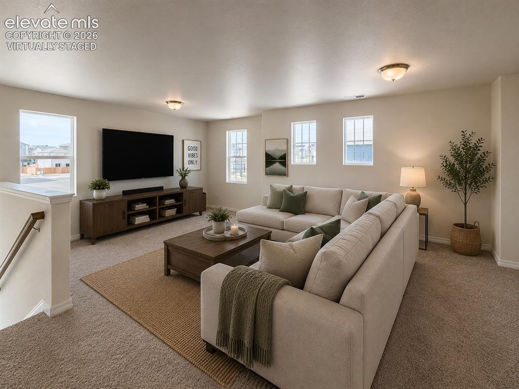 8211 Henzlee Place Falcon CO 80831