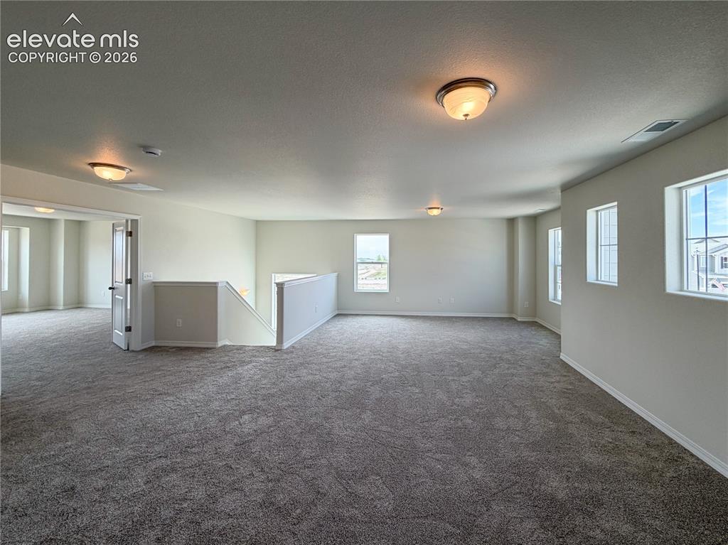 8211 Henzlee Place Falcon CO 80831