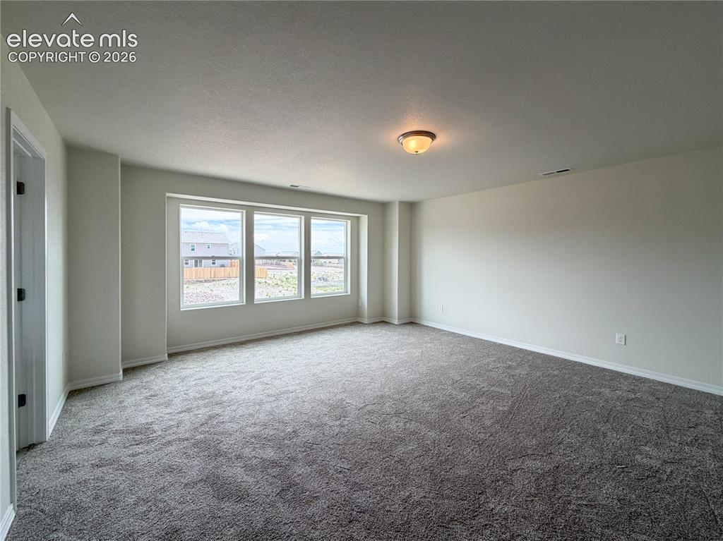 8211 Henzlee Place Falcon CO 80831