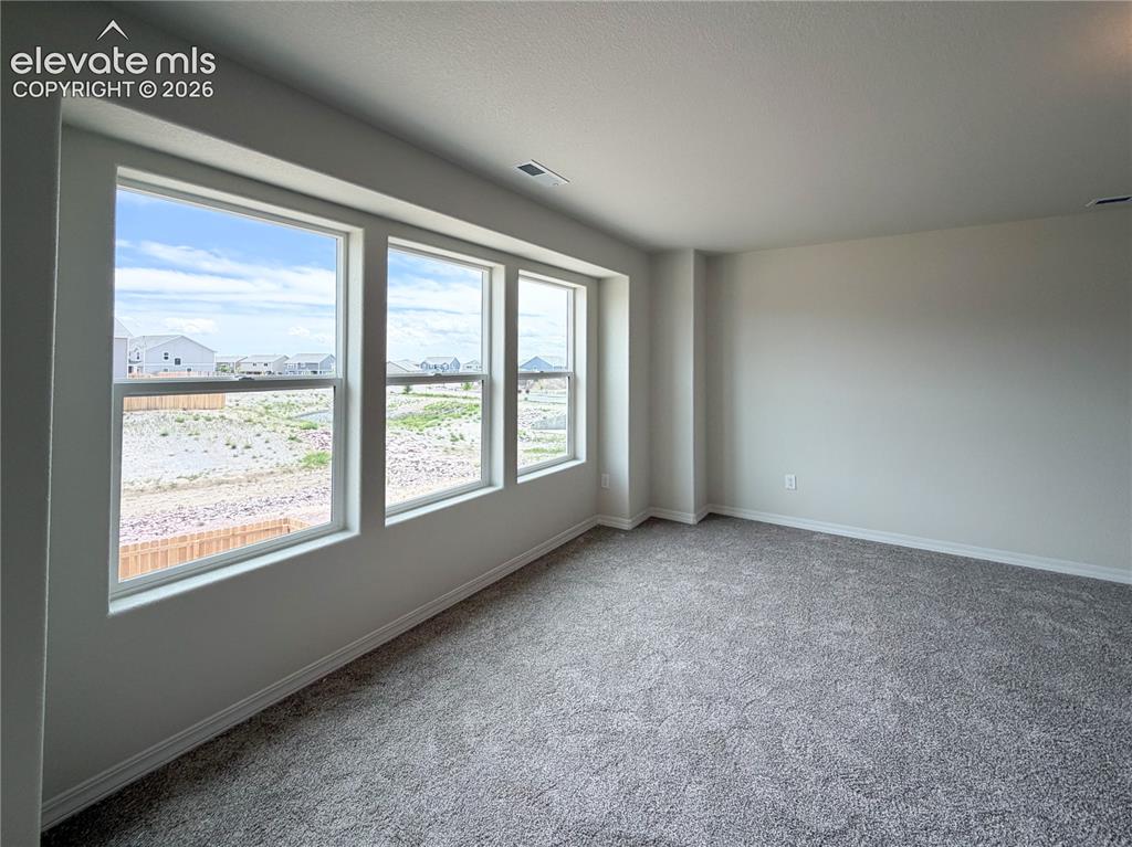 8211 Henzlee Place Falcon CO 80831