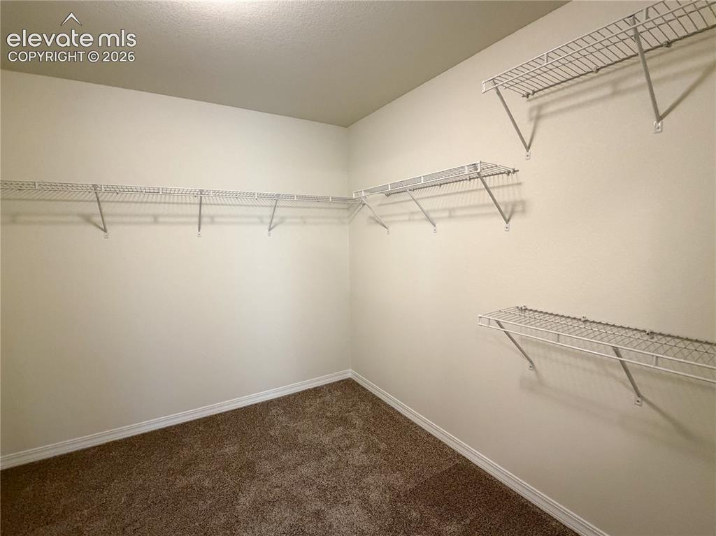 8211 Henzlee Place Falcon CO 80831