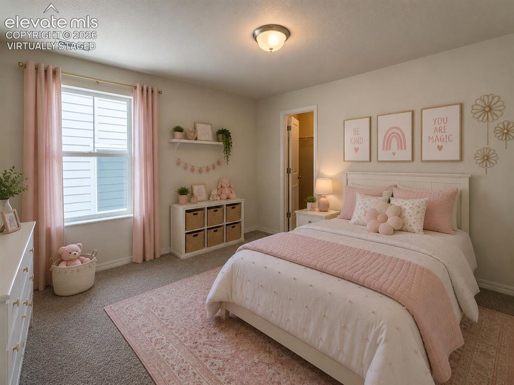8211 Henzlee Place Falcon CO 80831