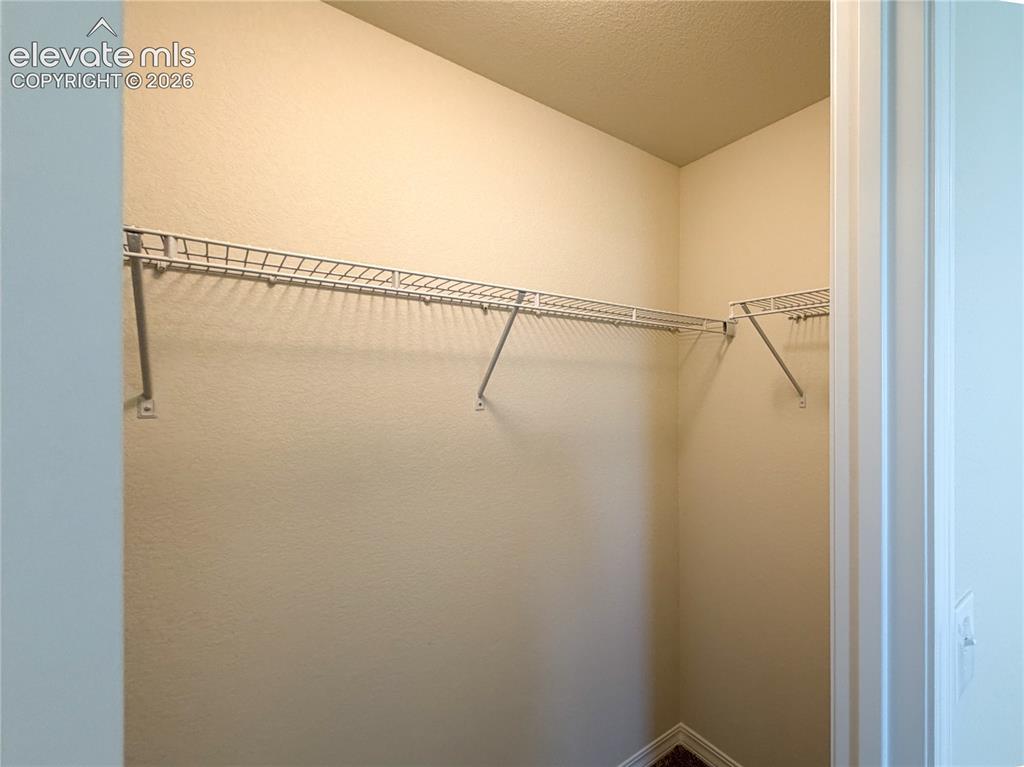 8211 Henzlee Place Falcon CO 80831