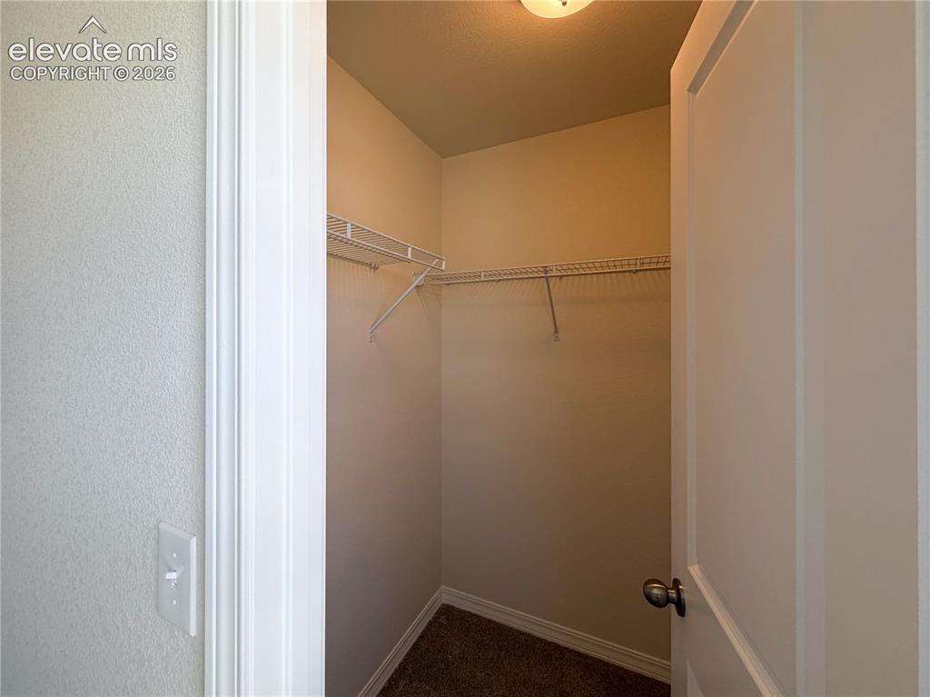 8211 Henzlee Place Falcon CO 80831